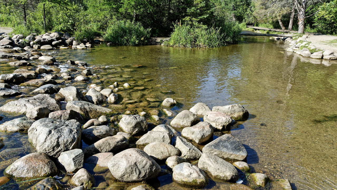 20190809-095331•Mississippi Head Water•Bagley•Minnesota•USA